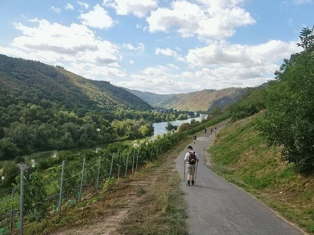 Weg mit Wanderern an der Mosel
